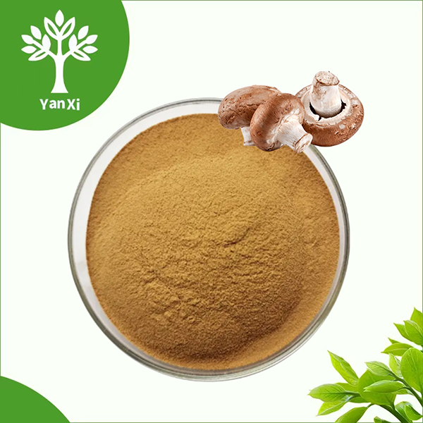 Shiitake Mushroom Extract Powder Shiitake Mushroom Extract Powder